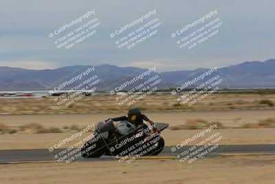 media/Jan-14-2023-SoCal Trackdays (Sat) [[497694156f]]/Turn 9 Inside (11am)/
